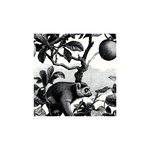 Tissu Bianca Maison Cossettini, motif animalier noir et blanc style gravure botanique, collection Atelier.
