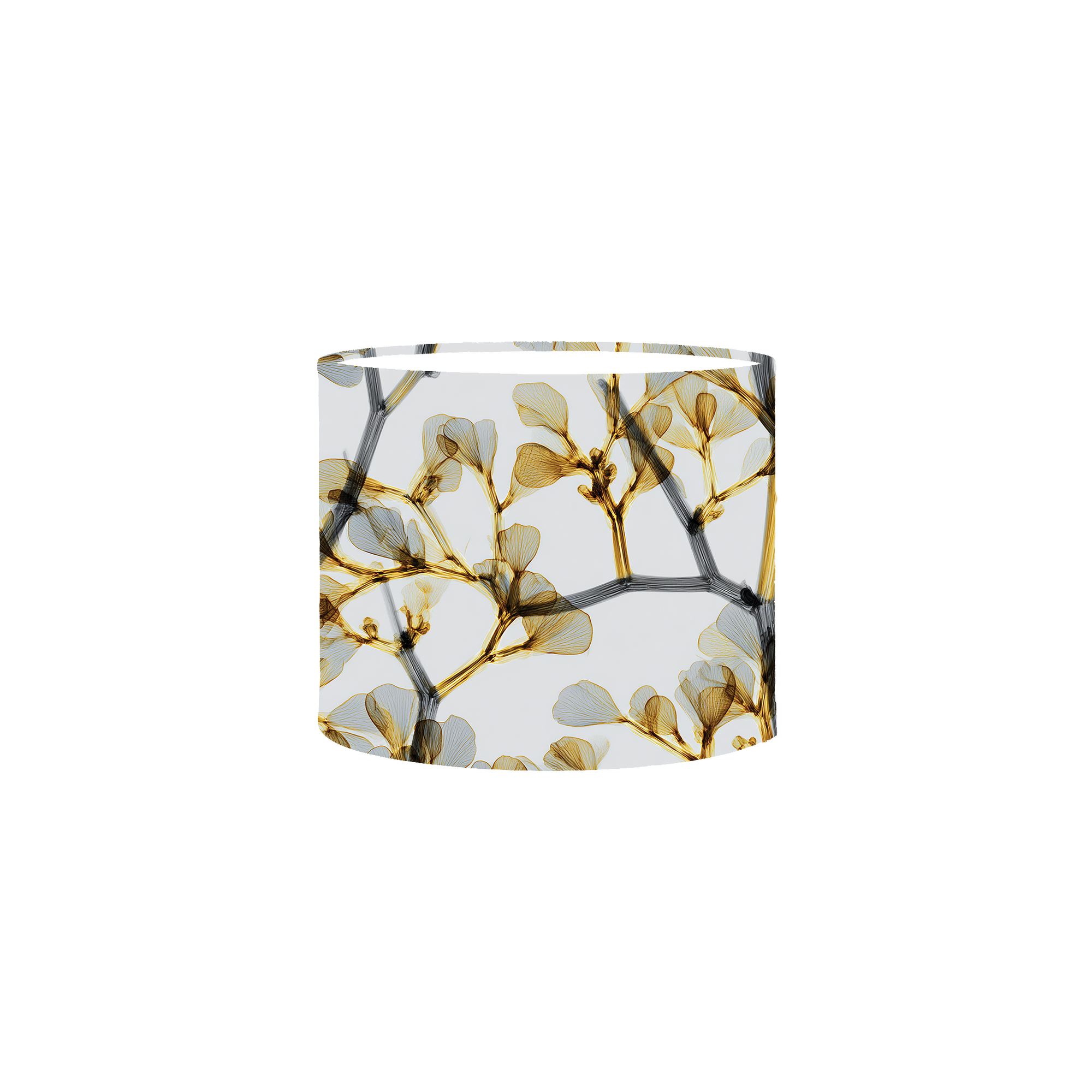 Balance Duo Set No. 2