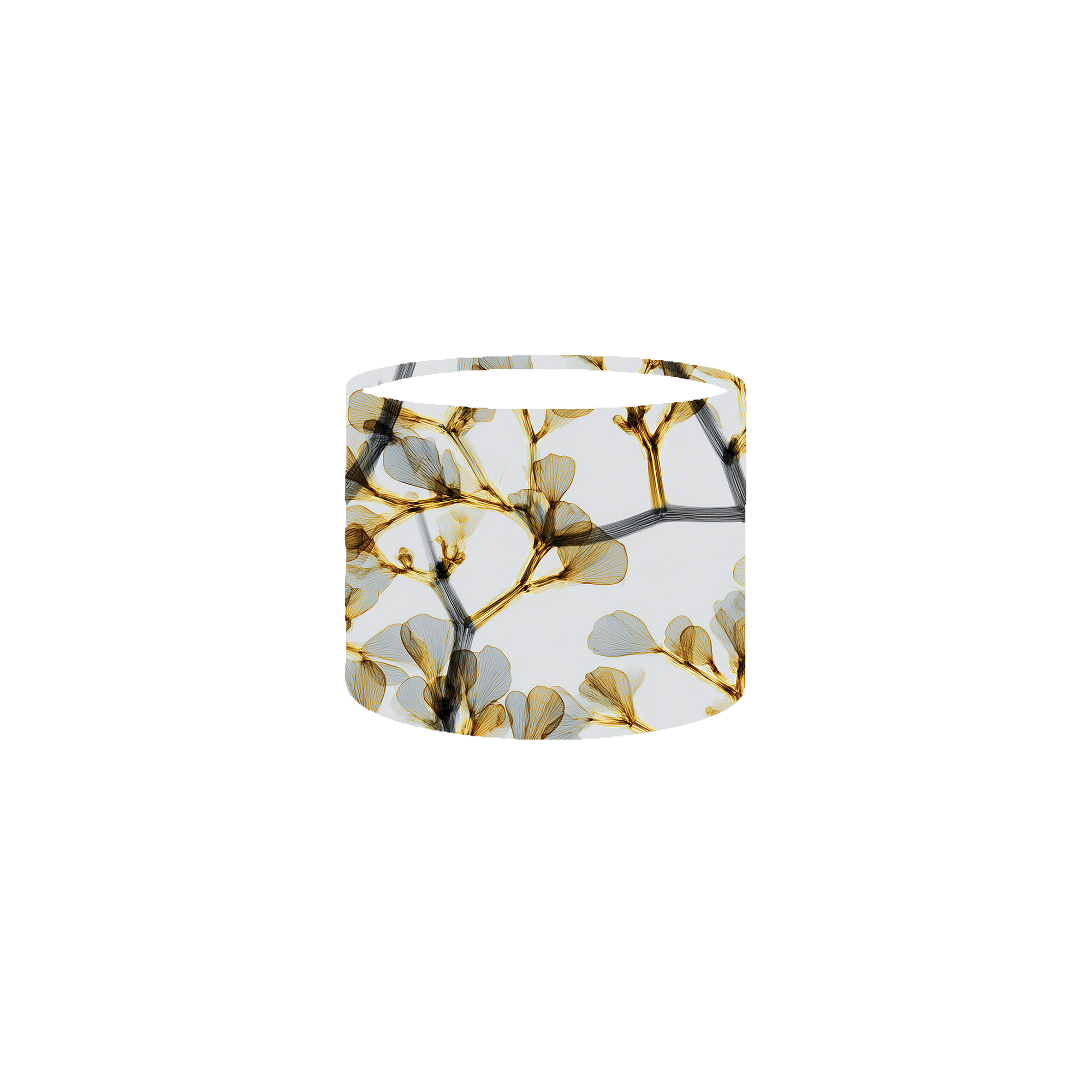 Essential Solo Box Set No. 3