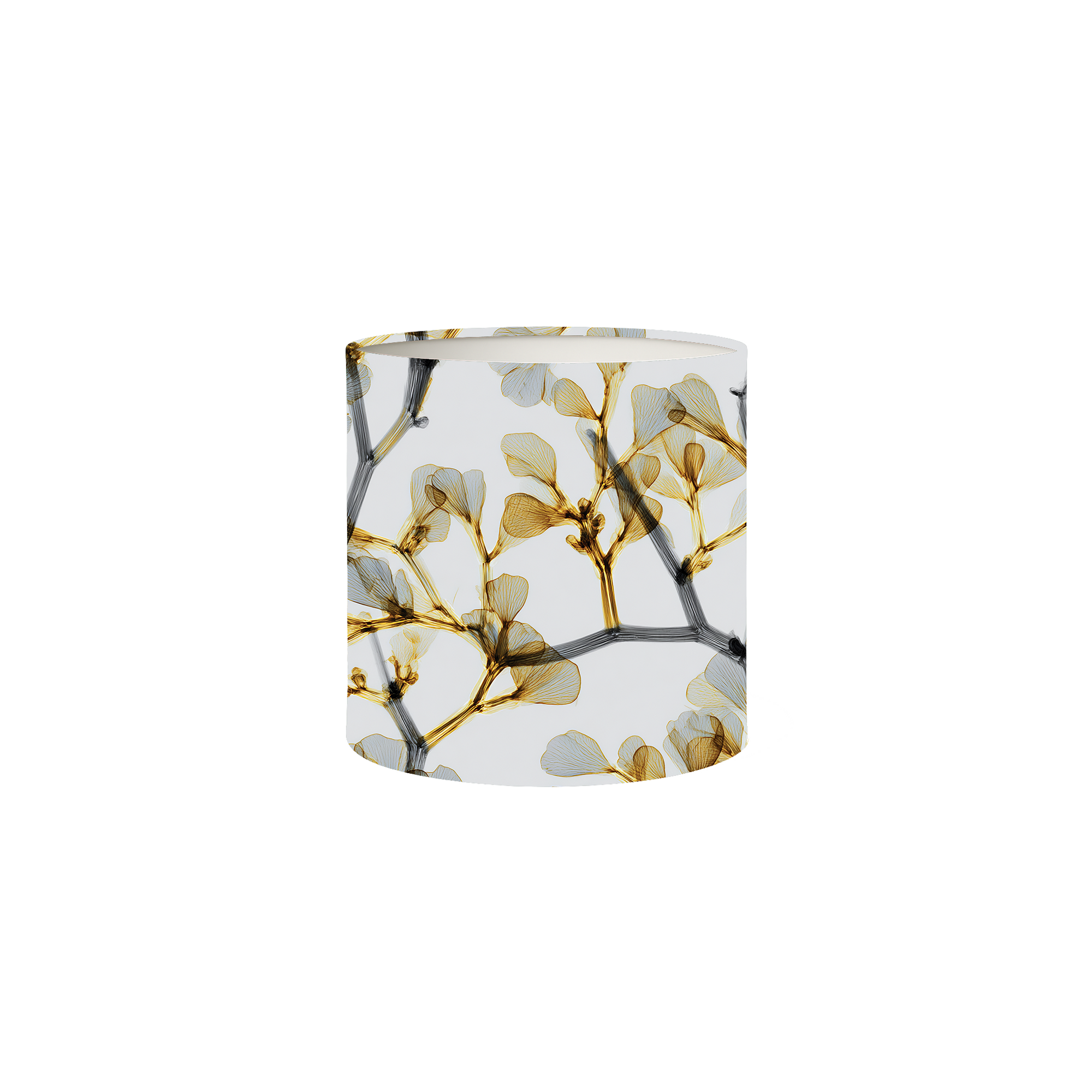 Essential Solo Box Set No. 4