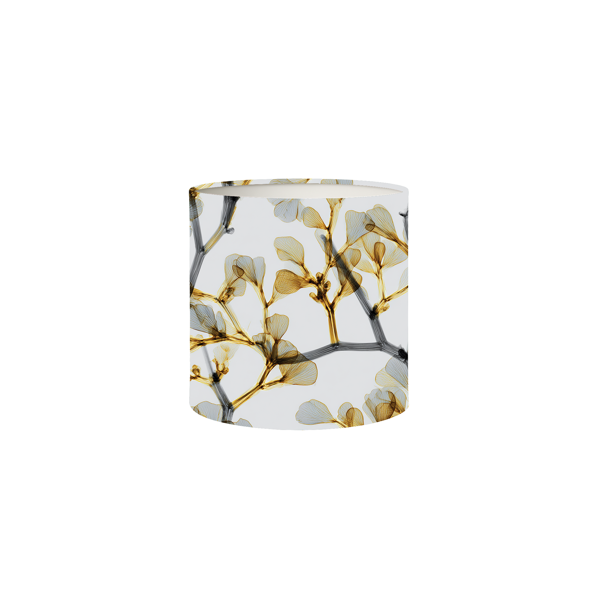 Essential Solo Box Set No. 4