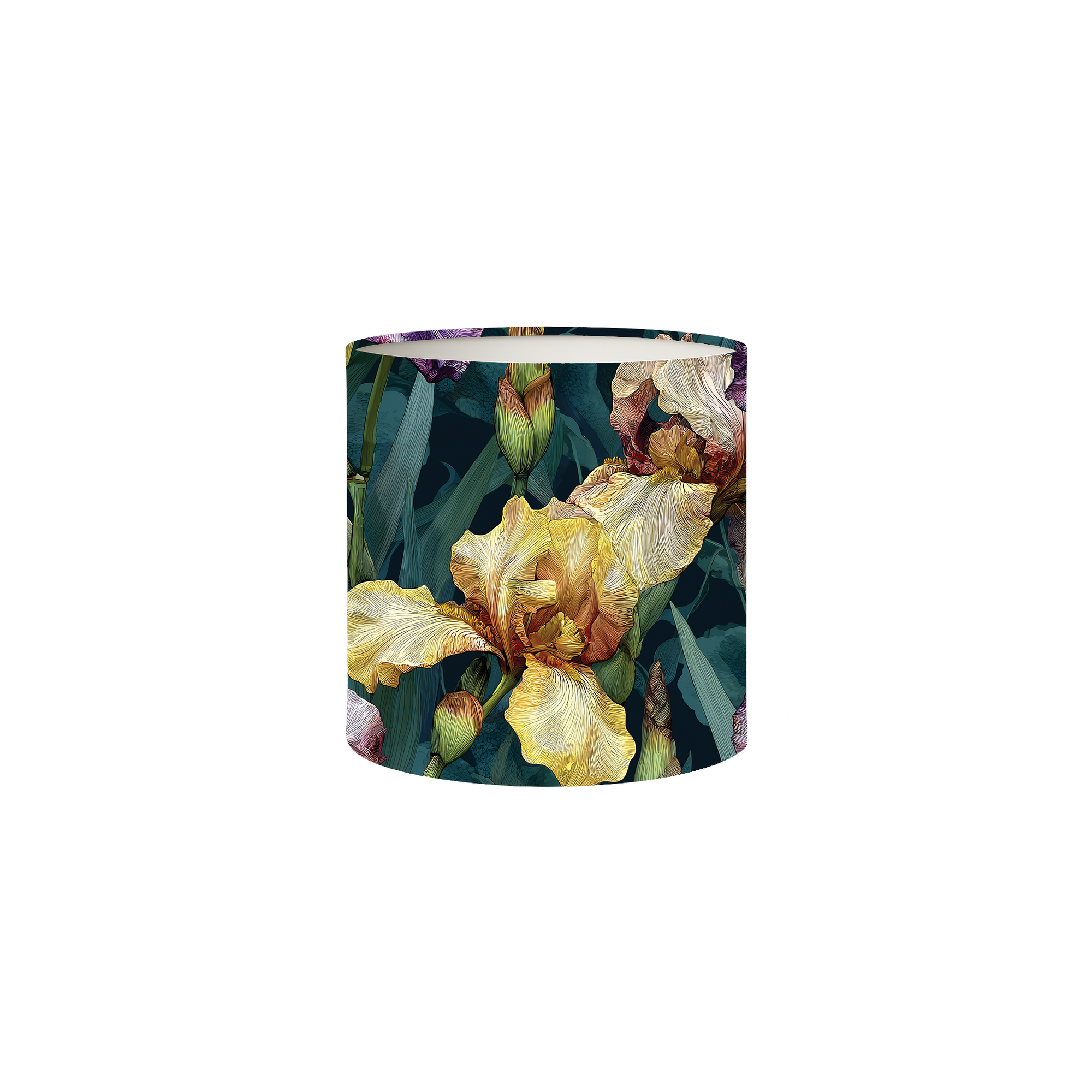 Essential Solo Box Set No. 4