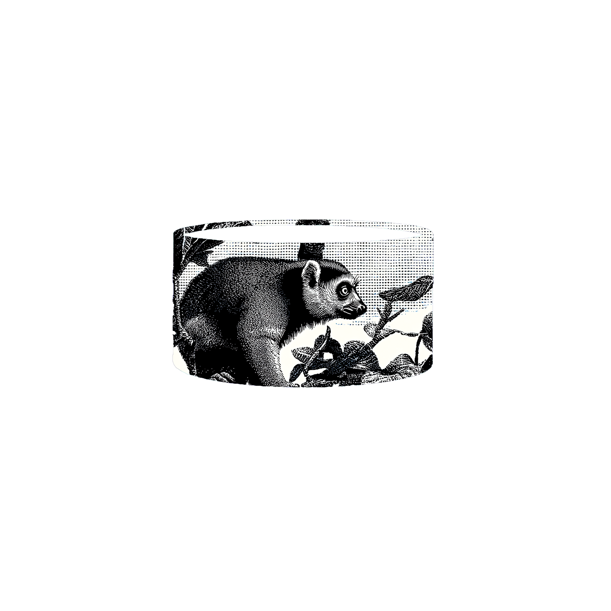 Essential Solo Box Set No. 6