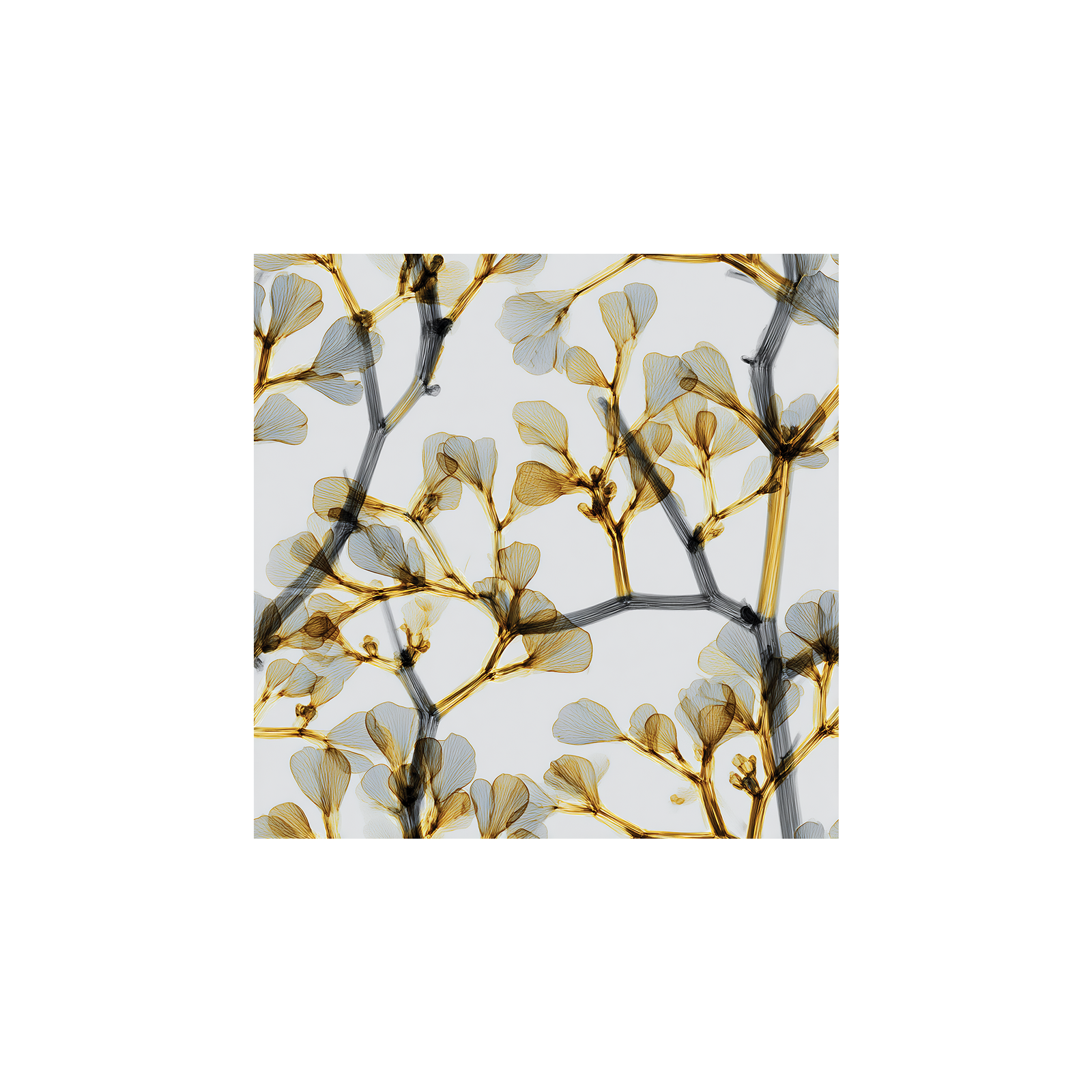 Tissu Futura Maison Cossettini, motif végétal noir et or, style graphique et moderne, collection Signature.