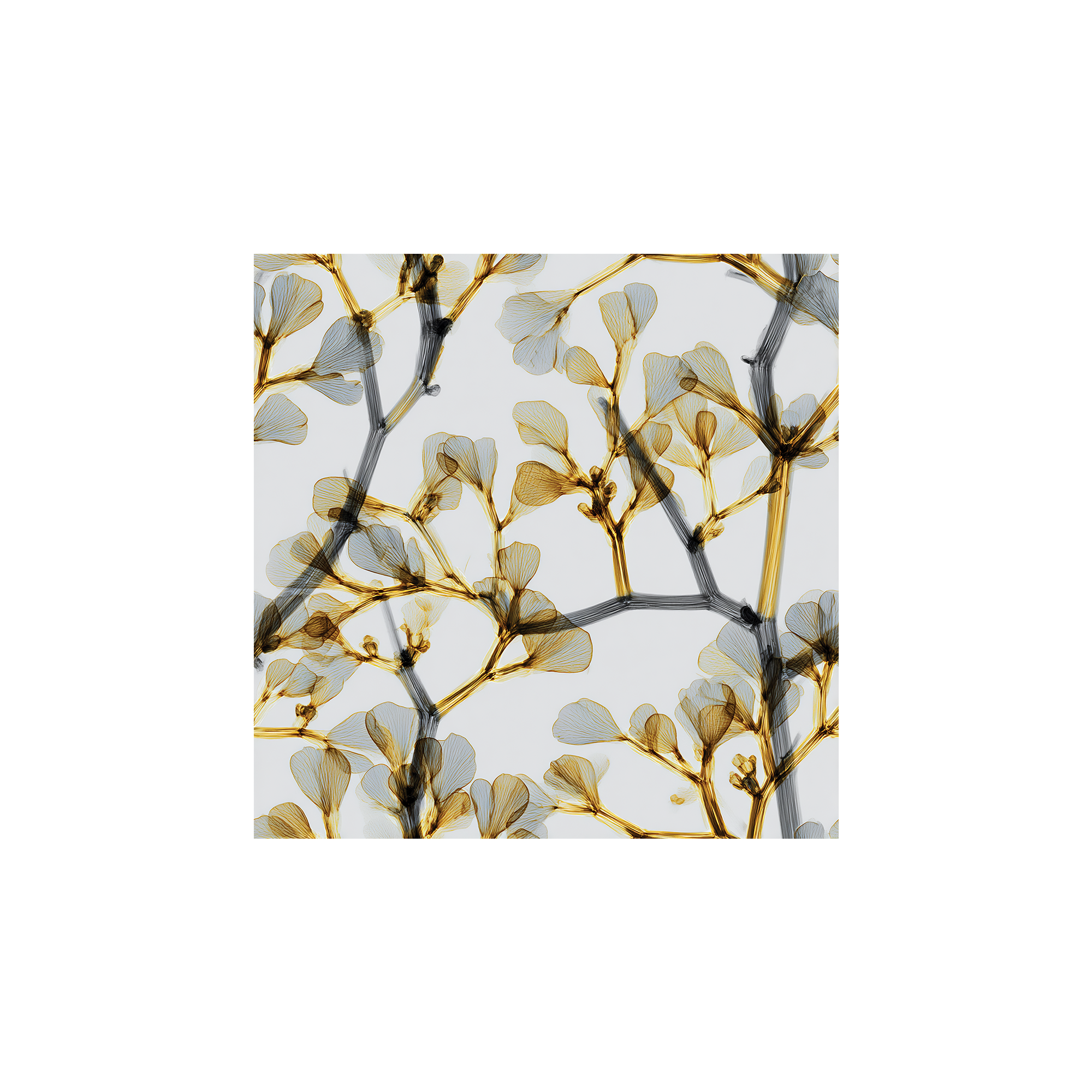 Tissu Futura Maison Cossettini, motif végétal noir et or, style graphique et moderne, collection Signature.